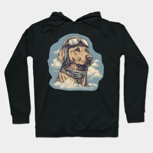 Aviator dog Hoodie